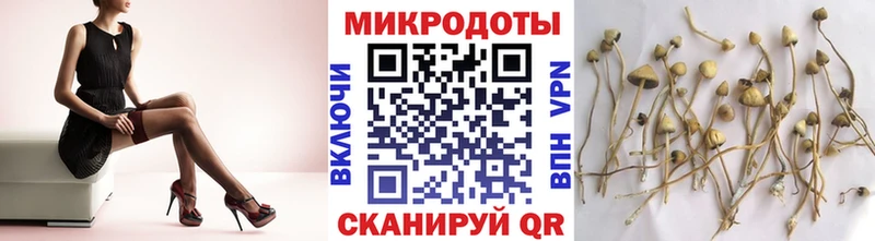Псилоцибиновые грибы Magic Shrooms  Канск 