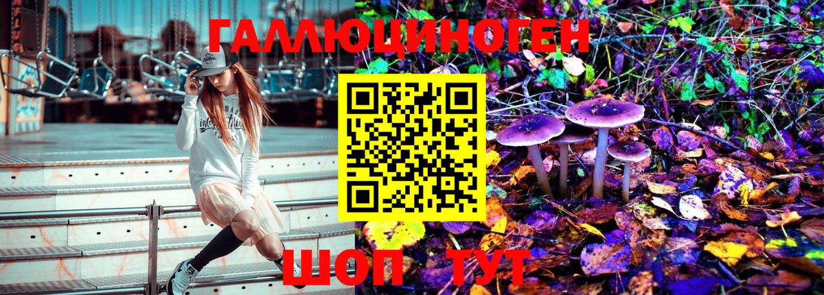 Псилоцибиновые грибы Psilocybine cubensis  Канск  Псилоцибиновые грибы мухоморы 