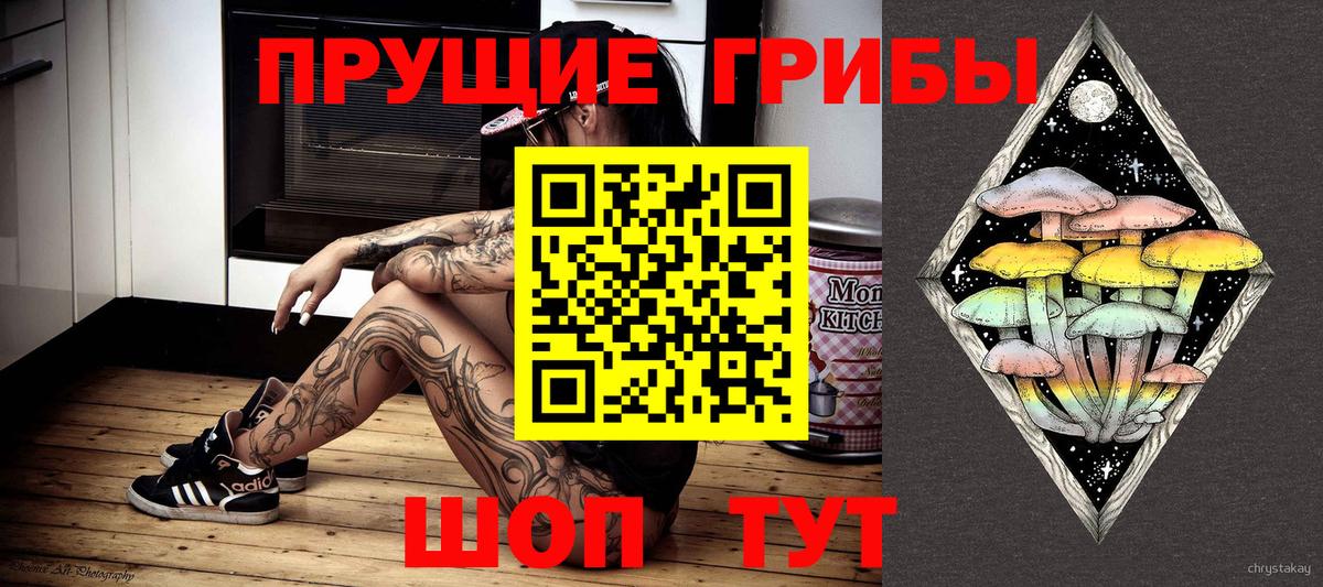 Галлюциногенные грибы прущие грибы Канск